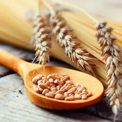 Sim, eu como alimentos que contenham glúten